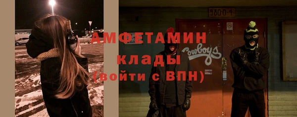 дмт Пестово