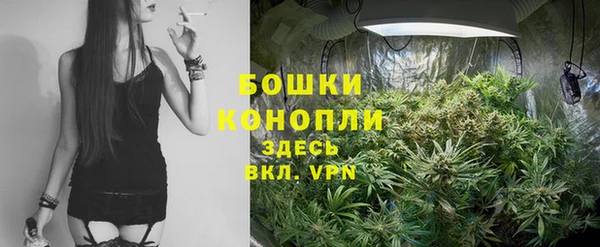 соль ск Нея