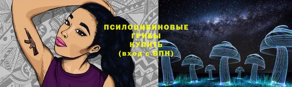 эйфоретик Нефтекумск
